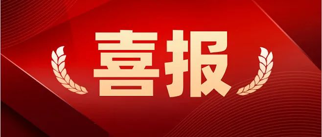 喜報丨德瑞克儀器獲評山東省2024年度專精特新中小企業